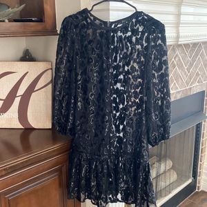 ❤️ J Crew Velvet Sheer Dress ❤️